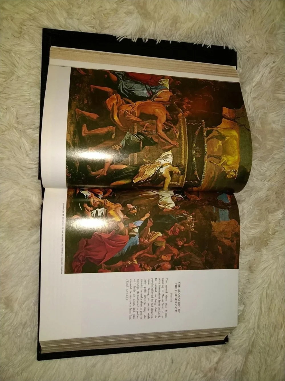 Holy Bible Holman KJV Hardback 1970 Family Bible Large Print